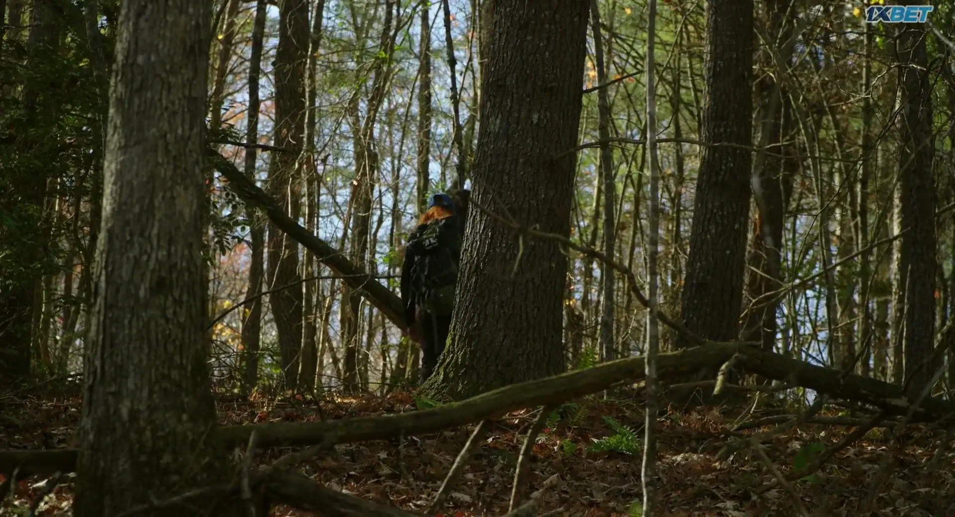 The Hike (2024) — screenshot