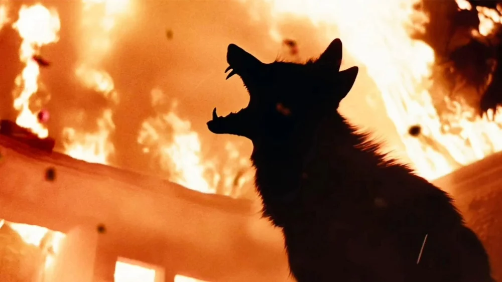 Coyotes (2025) — poster
