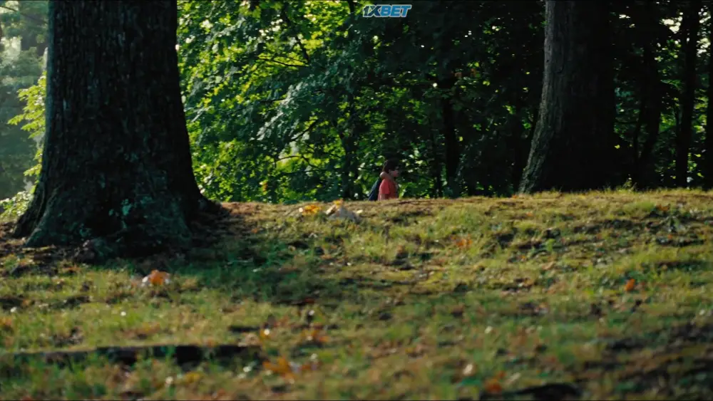 The Wild Dreamers (2011) — screenshot