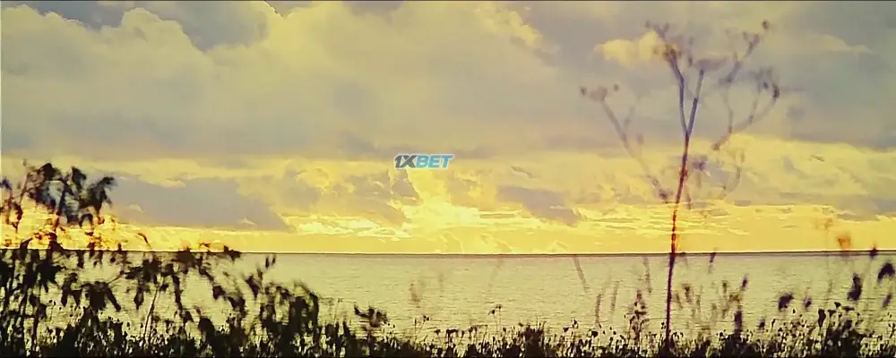Sisu: Road to Revenge (2025) — screenshot
