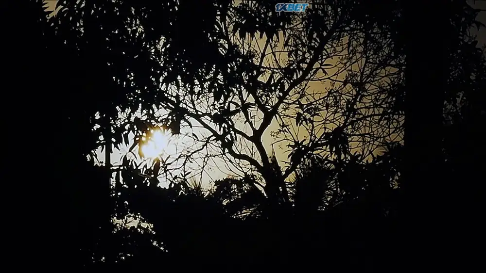 #SalveRosa (2025) — screenshot