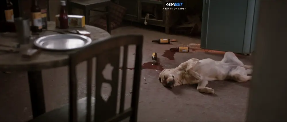 777 Charlie (2025) — screenshot