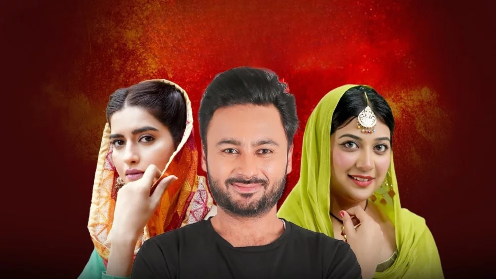 Main Tere Qurbaan (2025) — poster