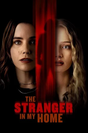 The Stranger in My Home (2025) — poster