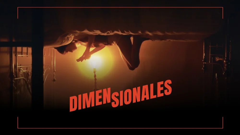 Dimensionales (2025) — poster