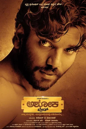 The Rise Of Ashoka (2026) — poster