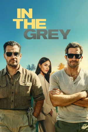 In the Grey (2026) — poster