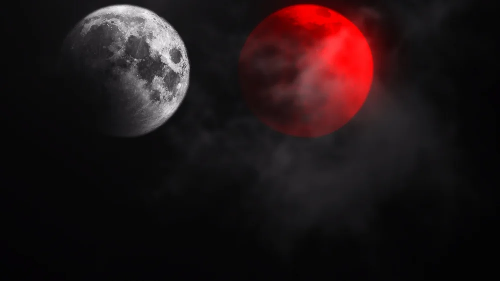 Not All Movies Are the Same: Dual (2025) — poster