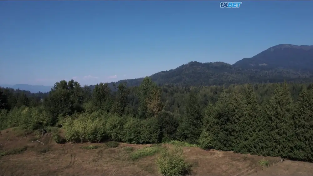 World War Bigfoot (2025) — screenshot