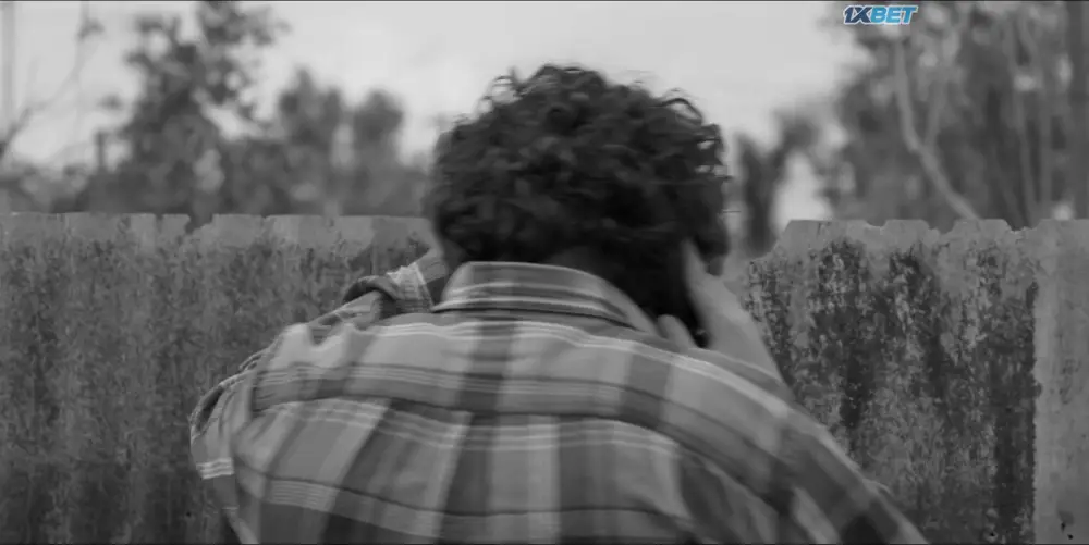 Burt (2022) — screenshot