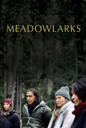 Meadowlarks (2025) — poster